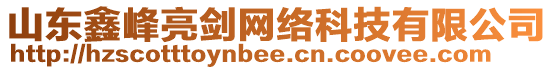 山東鑫峰亮劍網(wǎng)絡(luò)科技有限公司