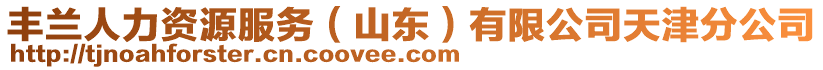 豐蘭人力資源服務(山東)有限公司天津分公司