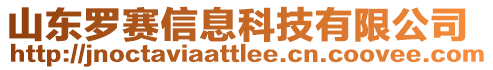 山東羅賽信息科技有限公司