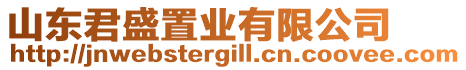 山東君盛置業(yè)有限公司