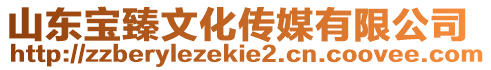 山東寶臻文化傳媒有限公司