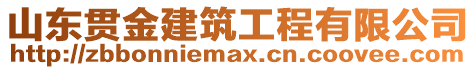 山東貫金建筑工程有限公司