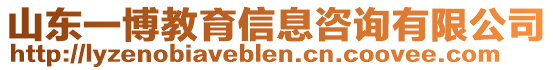 山東一博教育信息咨詢有限公司