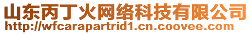 山東丙丁火網(wǎng)絡(luò)科技有限公司