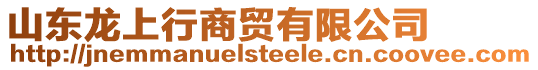 山東龍上行商貿有限公司