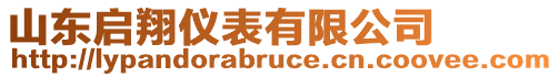 山東啟翔儀表有限公司