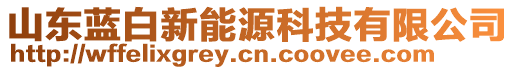 山東藍(lán)白新能源科技有限公司