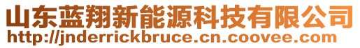 山東藍(lán)翔新能源科技有限公司