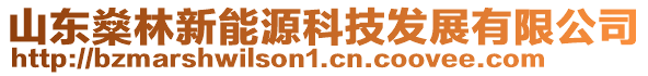 山東燊林新能源科技發展有限公司