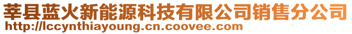 莘縣藍(lán)火新能源科技有限公司銷售分公司