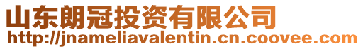 山東朗冠投資有限公司