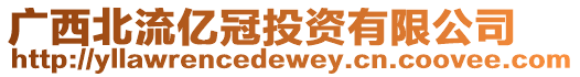 廣西北流億冠投資有限公司