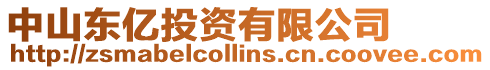 中山東億投資有限公司