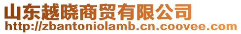 山東越曉商貿(mào)有限公司