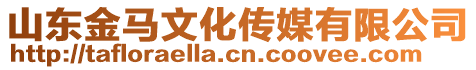 山東金馬文化傳媒有限公司