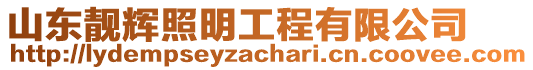 山東靚輝照明工程有限公司