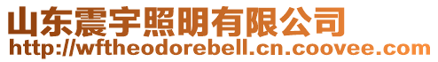 山東震宇照明有限公司