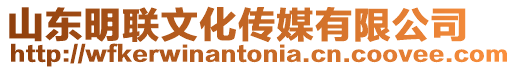 山東明聯(lián)文化傳媒有限公司