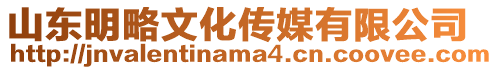 山東明略文化傳媒有限公司