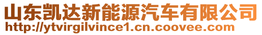 山東凱達(dá)新能源汽車有限公司