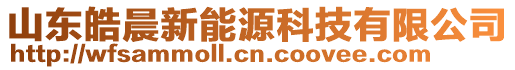 山東皓晨新能源科技有限公司