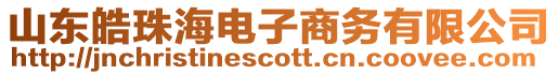 山東皓珠海電子商務(wù)有限公司