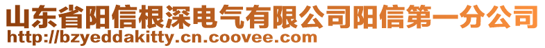 山東省陽信根深電氣有限公司陽信第一分公司