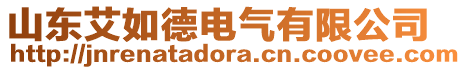 山東艾如德電氣有限公司