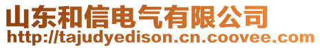 山东和信电气有限公司