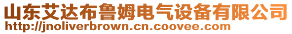 山東艾達(dá)布魯姆電氣設(shè)備有限公司