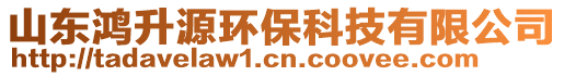 山東鴻升源環?？萍加邢薰? style=