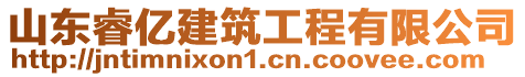 山東睿億建筑工程有限公司