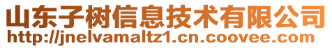 山東子樹信息技術(shù)有限公司