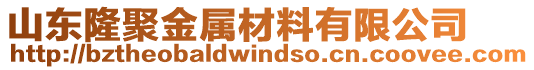 山東隆聚金屬材料有限公司