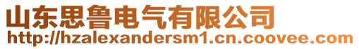 山東思魯電氣有限公司