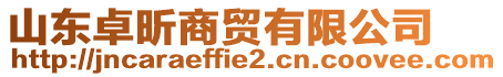 山東卓昕商貿有限公司