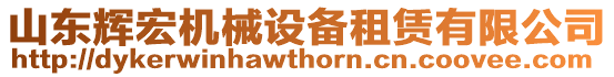 山東輝宏機(jī)械設(shè)備租賃有限公司