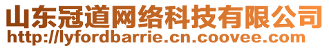 山东冠道网络科技有限公司