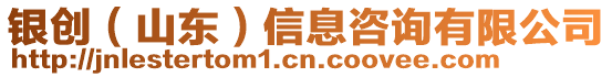 銀創(山東)信息咨詢有限公司