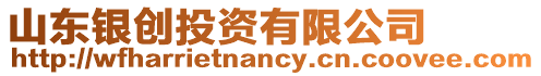 山東銀創投資有限公司