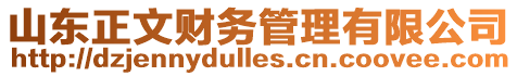 山東正文財(cái)務(wù)管理有限公司