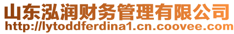 山東泓潤(rùn)財(cái)務(wù)管理有限公司