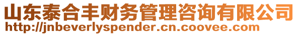 山東泰合豐財務(wù)管理咨詢有限公司