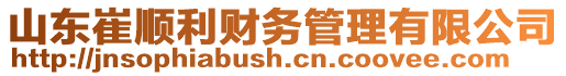 山東崔順利財務(wù)管理有限公司