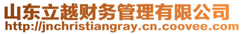 山東立越財(cái)務(wù)管理有限公司