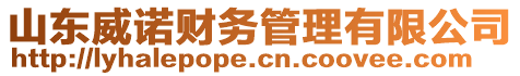 山東威諾財(cái)務(wù)管理有限公司