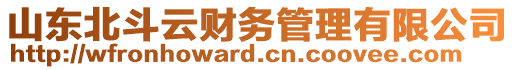 山東北斗云財務管理有限公司