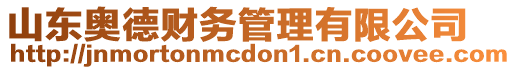 山東奧德財務(wù)管理有限公司