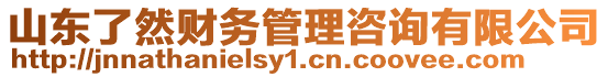 山東了然財務(wù)管理咨詢有限公司