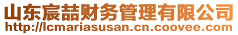 山東宸喆財務(wù)管理有限公司